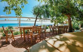 Naz Beach Bungalow Hotel In Antalya